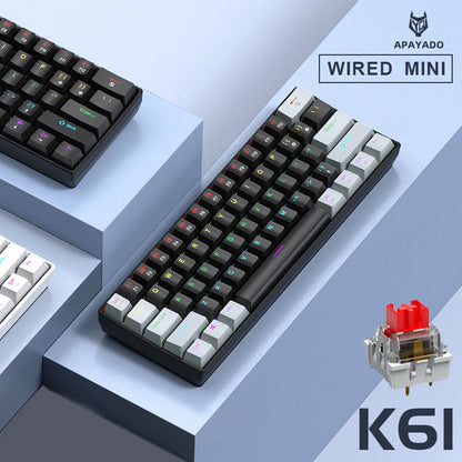 Clavier Mécanique RGB 61 Touches – APAYADO K61