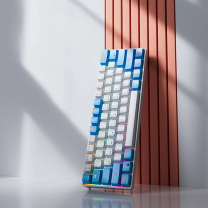 Clavier Mécanique RGB Compact 60 % – MUCAI