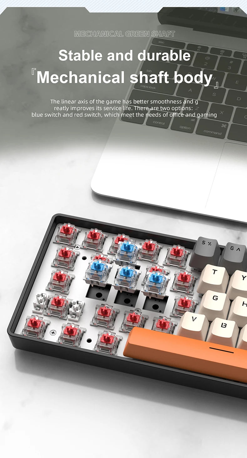 Clavier Mécanique RGB 61 Touches – APAYADO K61